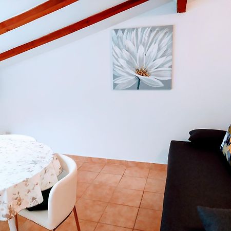 ביבינייה Apartments And Rooms Aleksandra מראה חיצוני תמונה